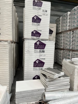 CARREAUX DE PLATRE PF3 STANDARD 70MM 66X50CM 3M²