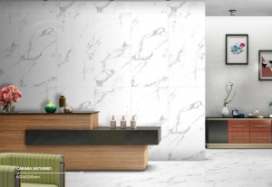 Carrelage 60x60 et 60x120 - Mat et Brillant - Carara Satvario