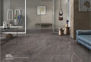 Carrelage 60x60 et 60x120 - Mat et Brillant - Pulpish Dark Grey