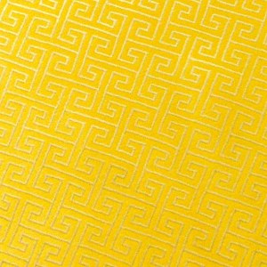 Tissu de brocart au broderie fine - Vente tissus en gros ou moyen quantité (G227)