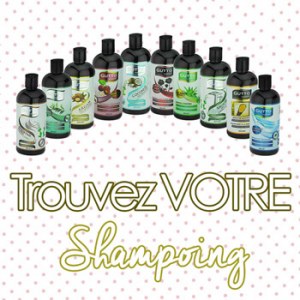 Shampoing à l'huile d'ail et de nigelle 400ml - GUTTO NATURAL