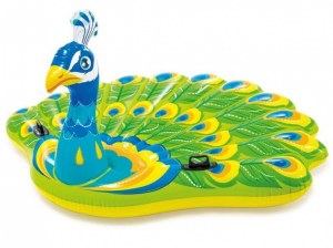 DESTOCKAGE BOUEE ET BALLON INTEX GROS LOT INTERESSANT