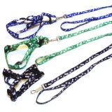 Sachet de 3 harnais +laisses