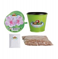 Kit plantation dès 6 ans - impatiens - kit fleurs complet