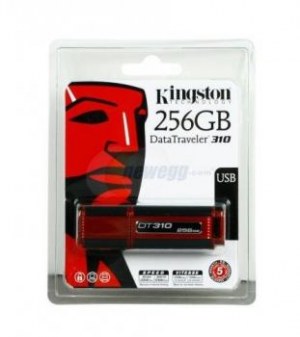 Cle usb 256go kingston neuve
