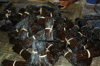 Vanille bourbon de madagascar