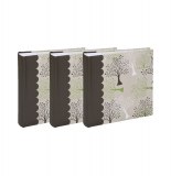 Lot de 3 albums photo - 200 pochettes - nature - beige