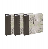 Lot de 3 albums photo - 200 pochettes - nature - beige