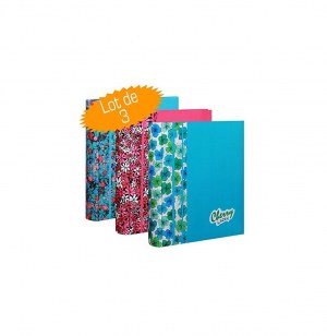 Lot de 3 albums photos - 200 pochettes - suzie q - rose