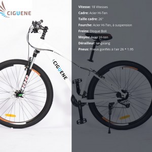 Vélo neufs en gros et en détail (à partir 120 euros par vélo pour lot minimal de 10 unités)