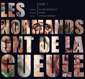 Lot de livre BD caricatures