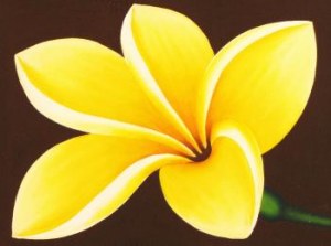 Destokage, liquidation 25 tableaux artisanat Bali