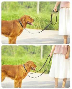 LA LAISSE DU CHIEN RÉGLABLE DOUBLE DOGGO-05