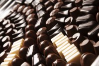 Cemoi - la cloche vichy en chocolat au lait et ses oeufs praliné