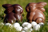 Cemoi - le lapin vichy en chocolat au lait et ses oeufs praliné