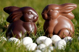 Cemoi - le lapin vichy en chocolat noir et ses oeufs praliné