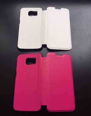 Coques/Étuis Samsung S6