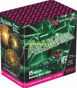 Lot de feux d'artifices