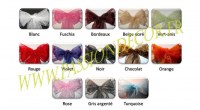 Vente de noeud de chaise Organza et Satin.