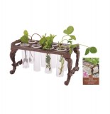 Set tubes à bouture - 8 tubes - verre