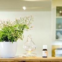 DIFFUSEUR D'HUILES ESSENTIELLES CHIC ET DISCRET