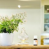 DIFFUSEUR D'HUILES ESSENTIELLES CHIC ET DISCRET