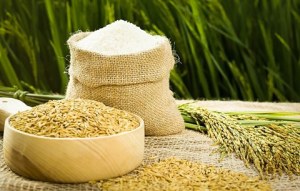 OFFRE DE RIZ EXCLUSIVE DIRECTEMENT DU VIETNAM