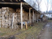 STOCK DE PLOT DE NOYER