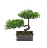 Bonsaï - plante artificielle