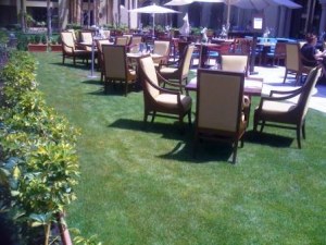 Gazon pelouse synthetique hippique 20M²