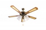 Vetilateur de plafond 5 pales et 5 luminaires