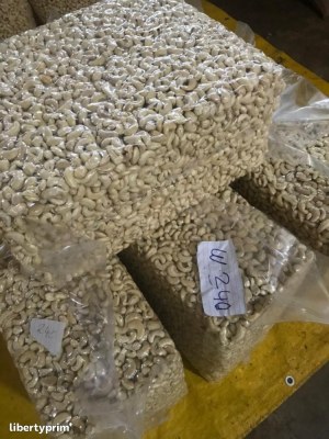 Shelled cashew nut from ivory coast