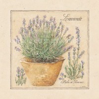 Destockage magnets editions du marronnier