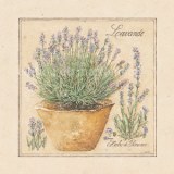 Destockage magnets editions du marronnier