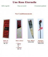 A VENDRE ROSES EN PLUME