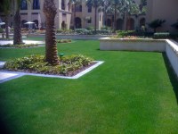 Gazon synthetique 25M² un rouleau