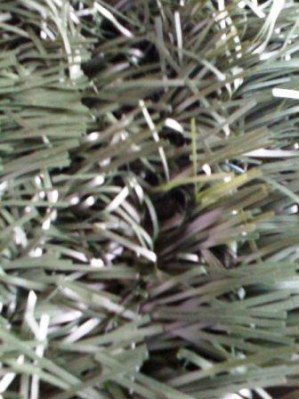 Haie artificielle sapin aspect crystal 1X3M