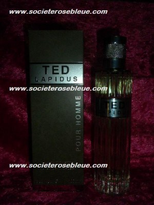 GROSSISTE LOT EDT TED LAPIDUS HOMME