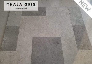 Pierre naturelle gris