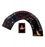 Jeu de carte  - jeu de cartes pour adultes