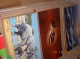 TABLEAUX 50X100 LINEN