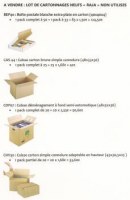 Lot de cartonnage Raja