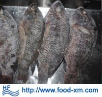 Fournisseur chinois de poisson congelé