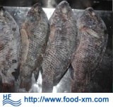 Fournisseur chinois de poisson congelé