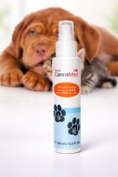 Lot de Spray pattes au CBD pour chien et chat