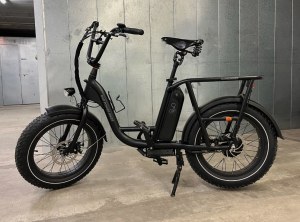 RadRunner 2 Electric Utility Bike