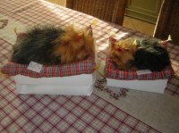 Articles Pour Magasin ou Marché