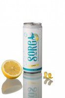 Lot Hard seltzer DLUO 18 mois 33cl