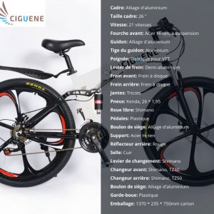 Vente en gros de cinq modèles différents de vélos (à partir 199 euros par vélo pour lot minimal...)