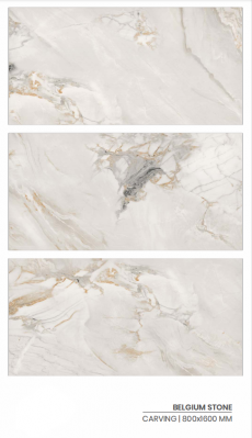 Carrelage 80x160 - Mat et Brillant - Berlin Belgium